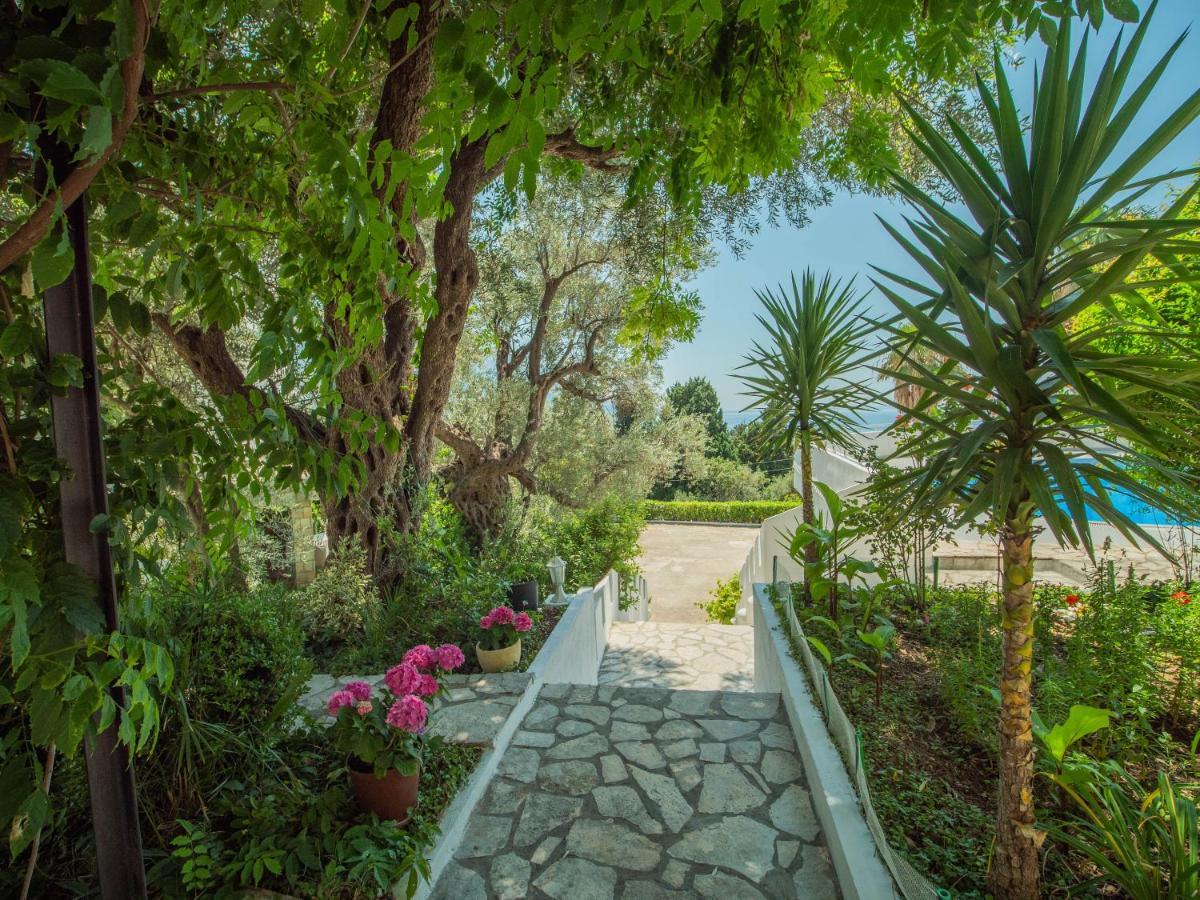 The Turtles Garden Bečići Exterior foto