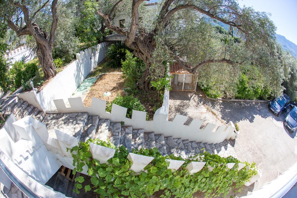 The Turtles Garden Bečići Exterior foto